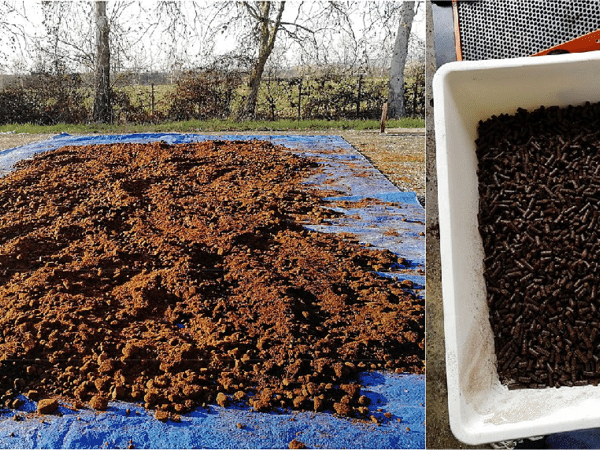 Spent coffee grounds (SCG)